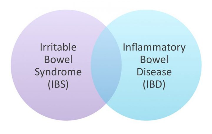 Mari mengenal lebih jauh mengenai Inflammatory Bowel Disease (IBD) dan Irritable Bowel Syndrome (IBS)